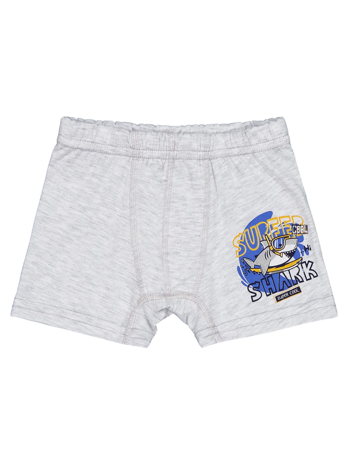 Domi Kids Shark 2-8 Yaş Erkek Çocuk 2'li Boxer
