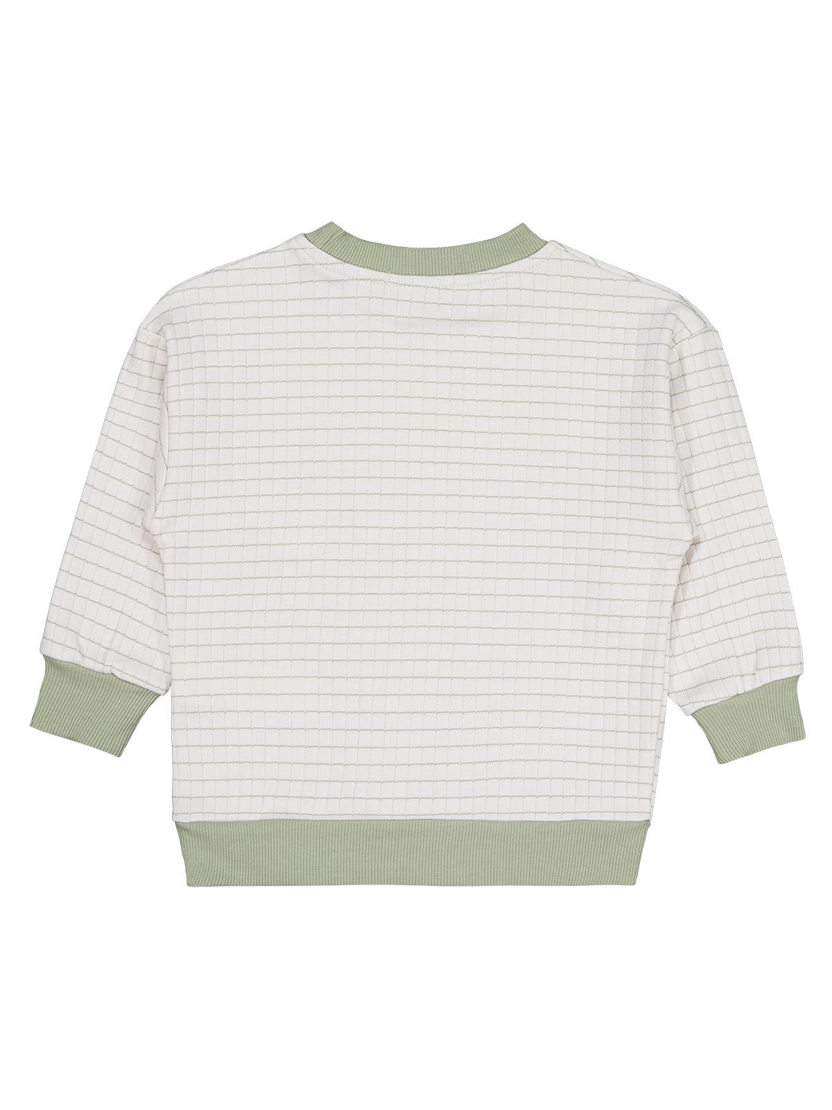 Civil Boys Aslan Nakışlı 2-5 Yaş Sweatshirt - Yeşil