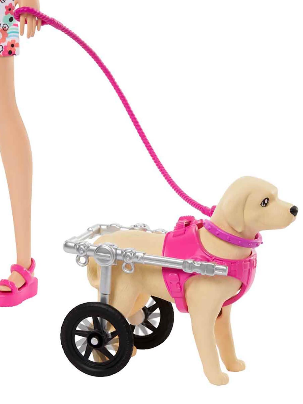 Barbıe Ve Engelli Köpeği Oyun Seti