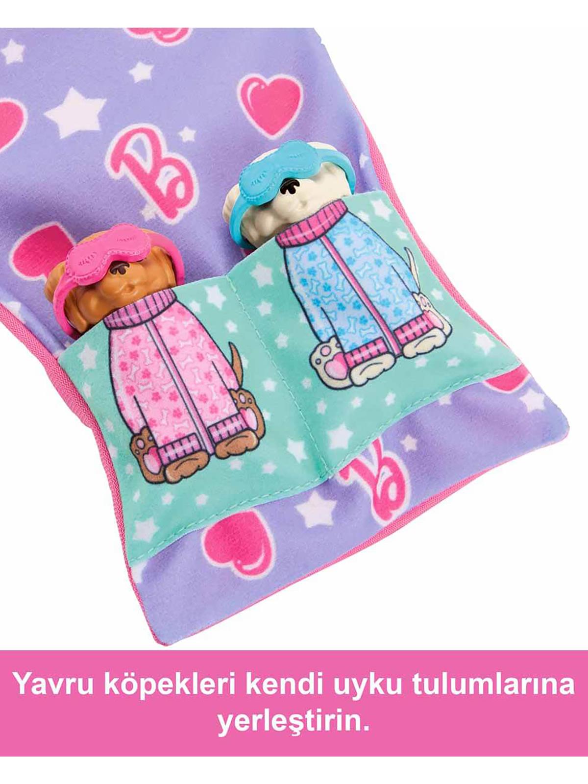 Barbıe Ve Köpekçikleri Pijama Partisi