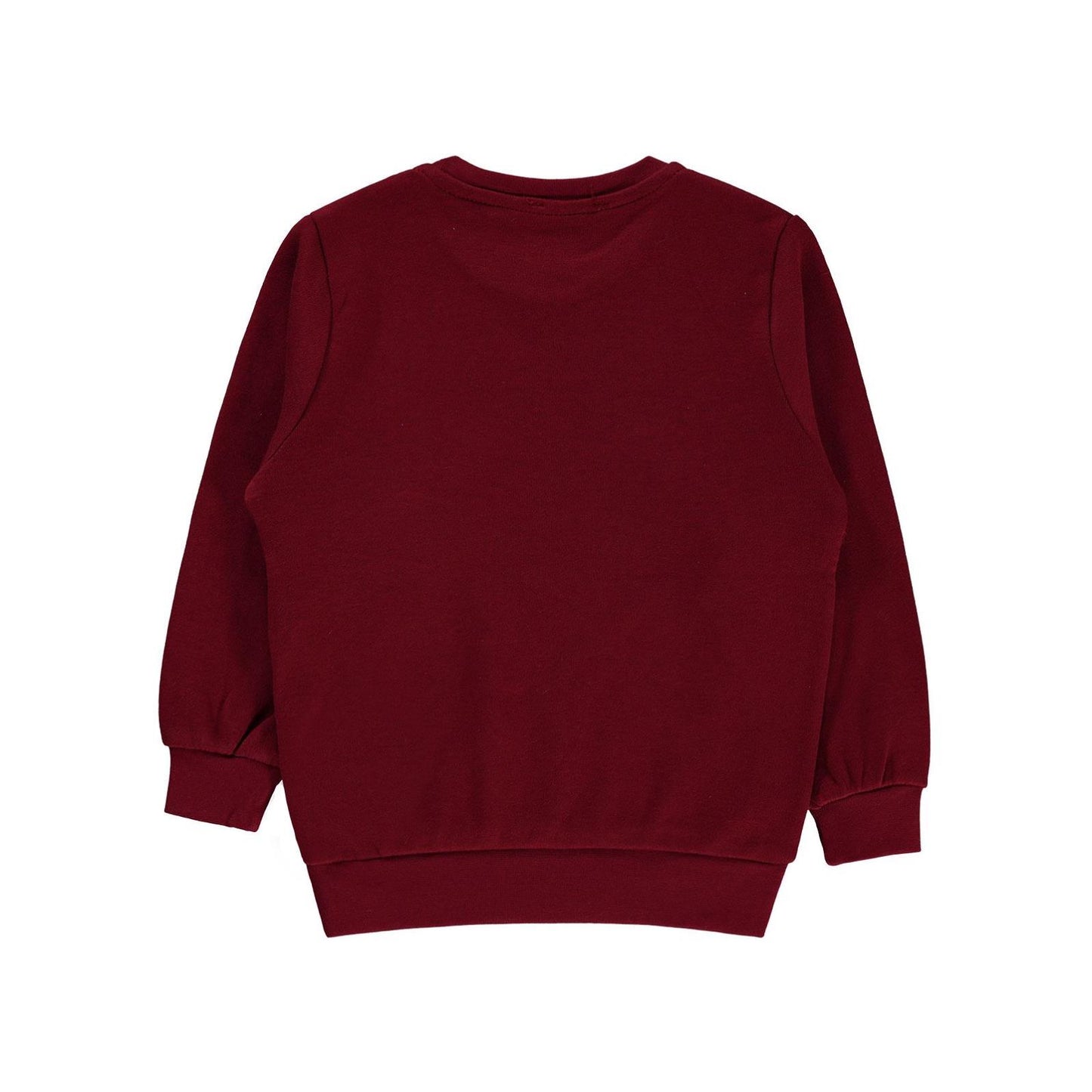 Civil Boys Köpek Baskılı 2-5 Yaş Sweatshirt - Hardal