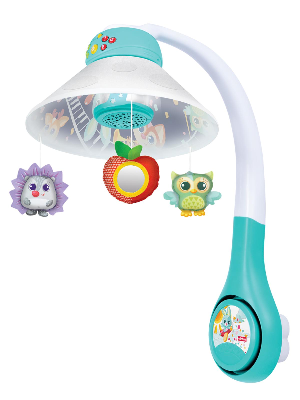 Winfun Orman Arkadaşları Dönence