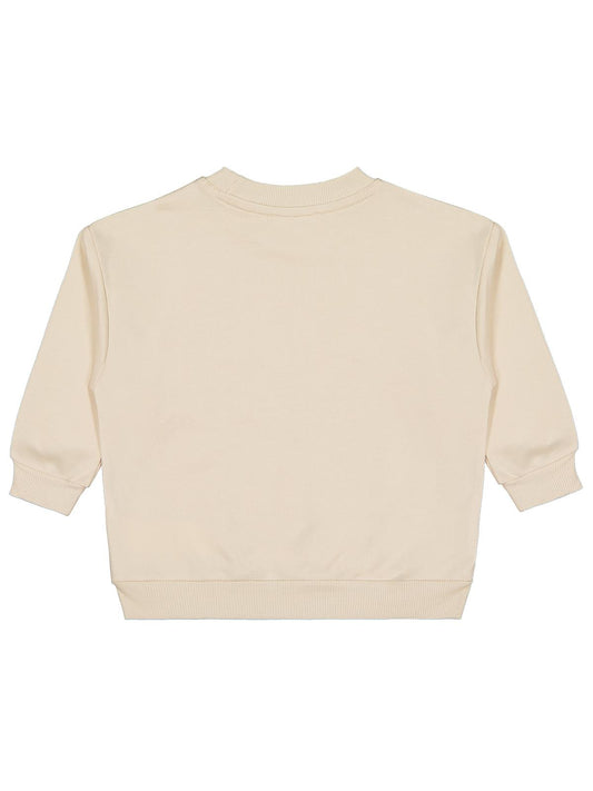 Civil Boys Trex Baskılı 2-5 Yaş Sweatshirt - Bej