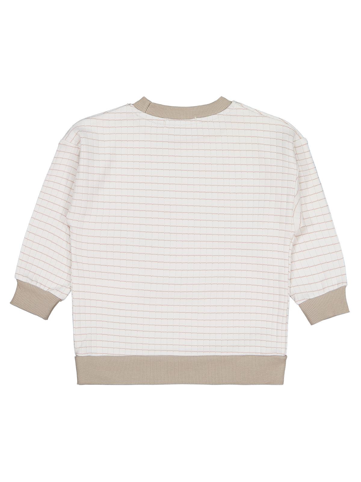 Civil Boys Aslan Nakışlı 2-5 Yaş Sweatshirt - Bej