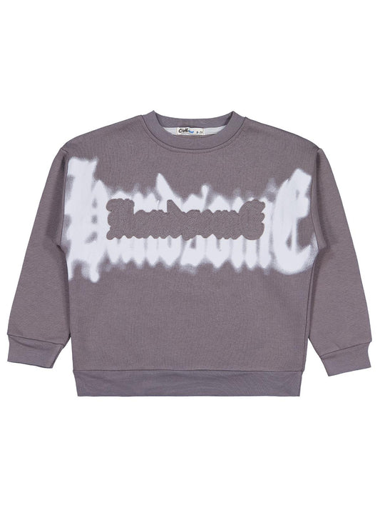 Civil Erkek Çocuk Banosome Baskılı Sweatshirt | 3 İp Uzun Kol | Okul Kreş ve Günlük Kullanım - Gri