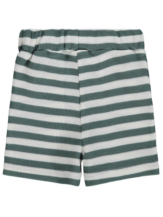 Civil Baby Çizgili 6-18 Ay Şort - Yeşil