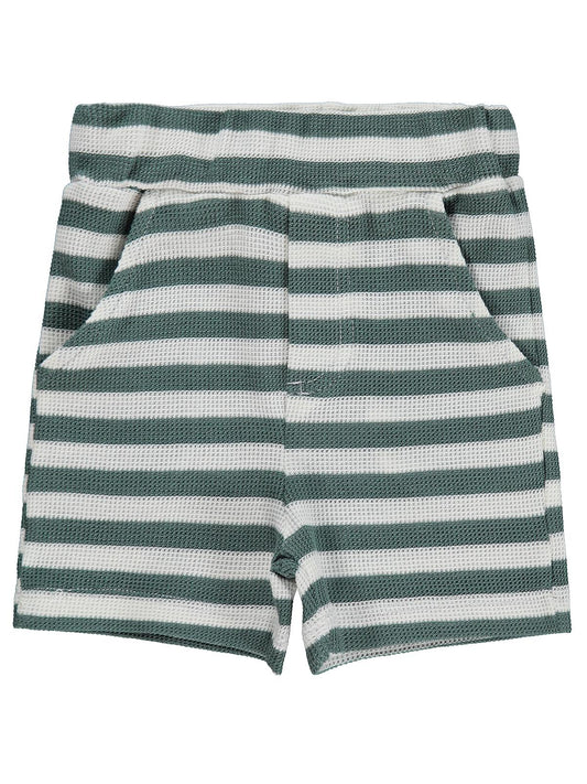 Civil Baby Çizgili 6-18 Ay Şort - Yeşil