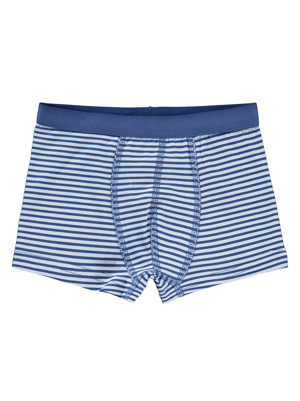 Civil Boys Shark 2-10 Yaş Erkek Çocuk 2'li Boxer
