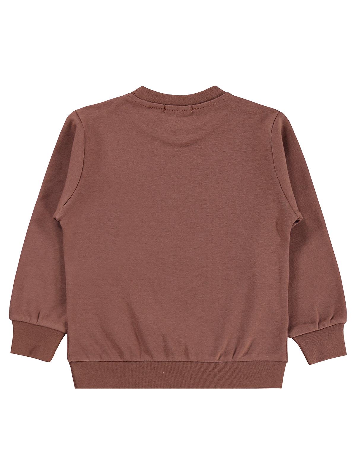 Civil Boys Awesome Aslan Baskılı 2-5 Yaş Sweatshirt Km - Kahverengi