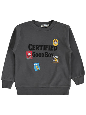 Civil Boys Certıfıed Baskılı 2-5 Yaş Sweatshirt - Gri