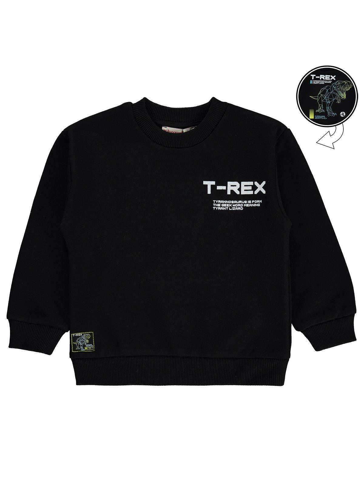 Silversun T-REX Dinozor Baskılı 2-7 Yaş Sweatshirt - Siyah