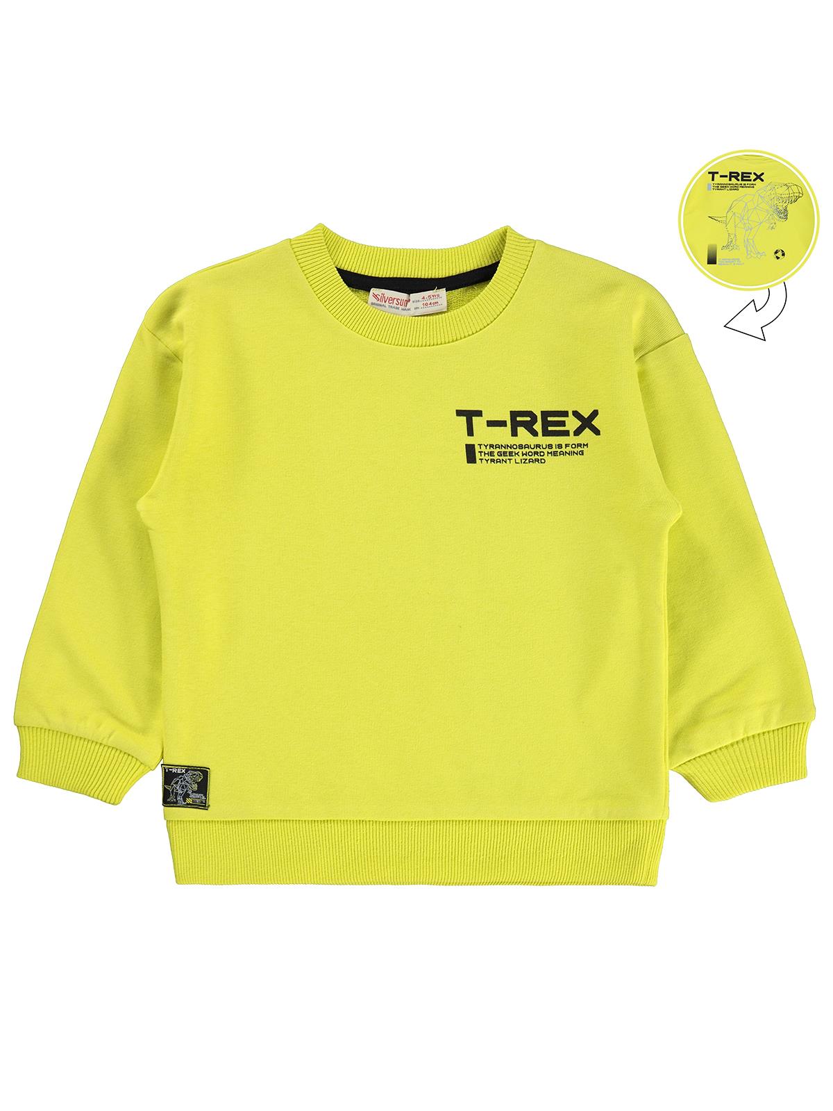 Silversun T-REX Dinozor Baskılı 2-7 Yaş Sweatshirt - Yeşil