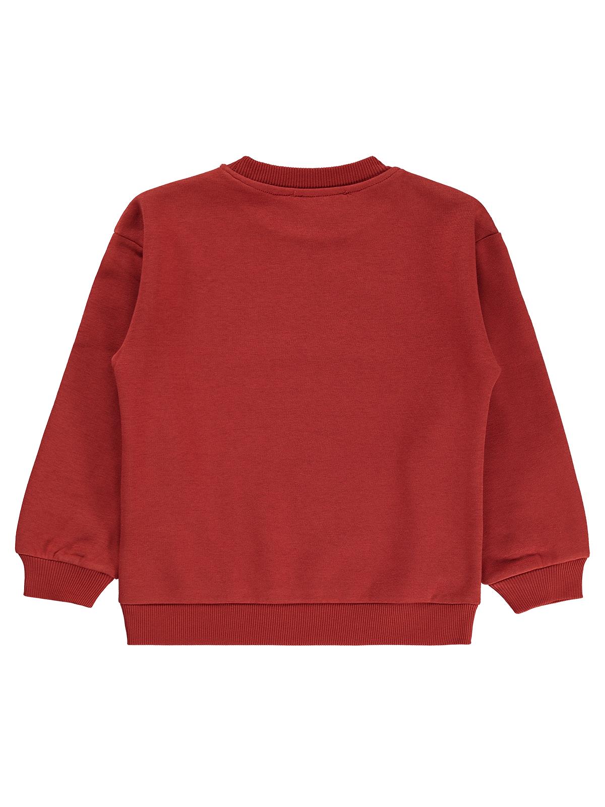 Silversun 1975 Aslan Baskılı 2-7 Yaş Sweatshirt - Bordo