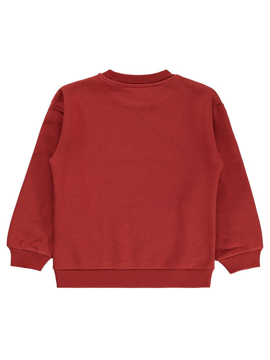 Silversun 1975 Aslan Baskılı 2-7 Yaş Sweatshirt - Bordo
